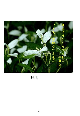 �H��9b