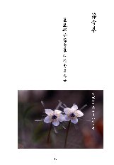 ������13